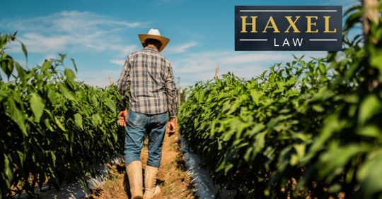 Senior farmer man walking at agricultural field